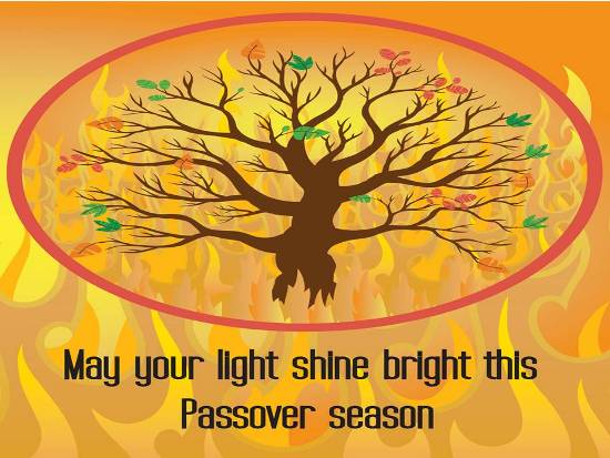 May Your Light Shine Bright This Passover Season