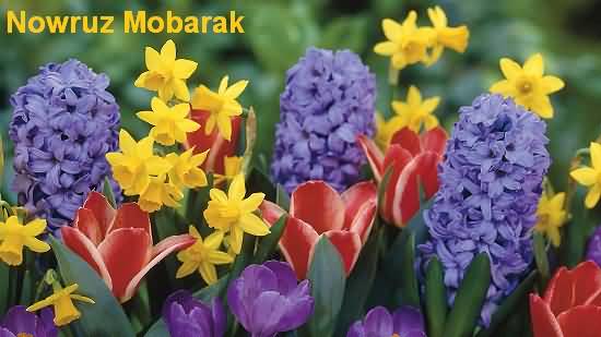 Nowruz Mubarak Flowers Picture