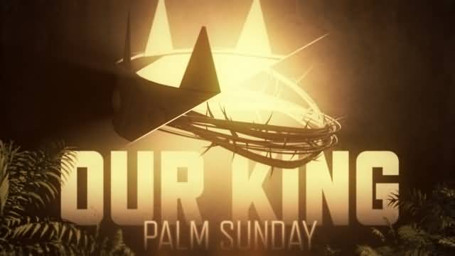 Our King Palm Sunday