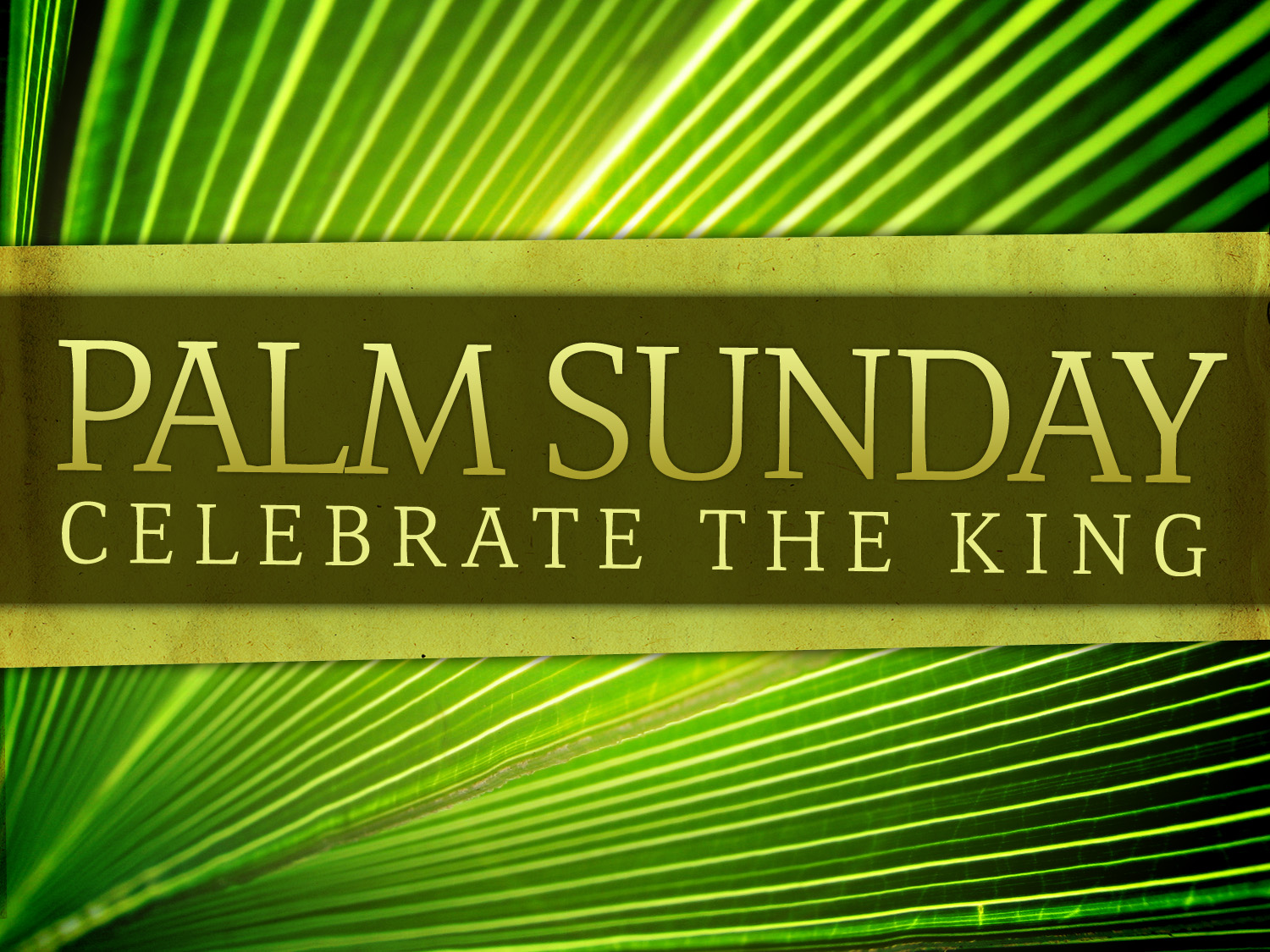 Palm Sunday Celebrate The King
