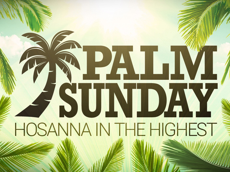 28 Palm Sunday 2017 Wish Pictures And Images