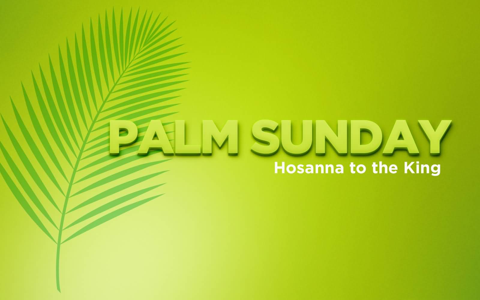 Palm Sunday Hosanna To The King