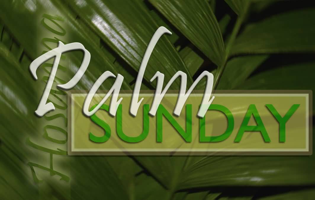 Palm Sunday Hosanna Wishes Picture