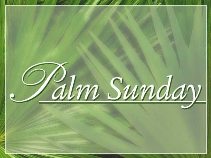 Palm Sunday Image