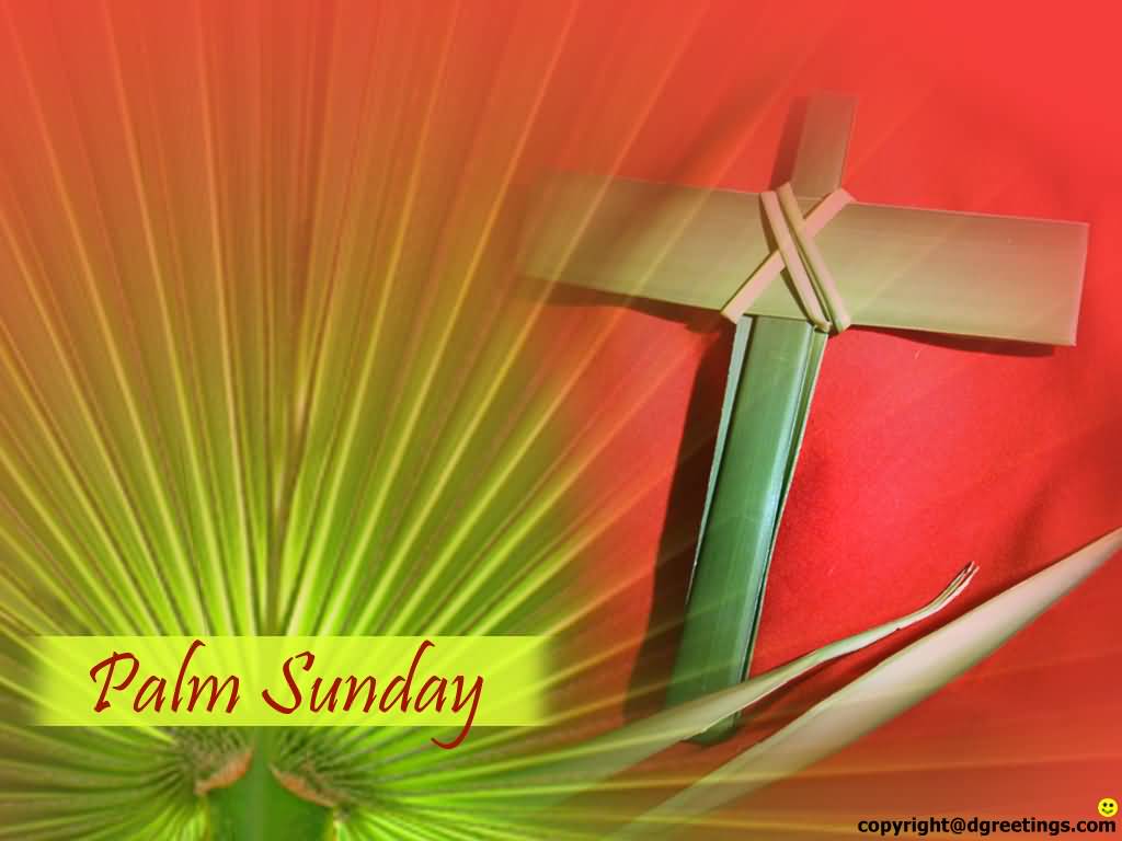 Palm Sunday Palm Cross Picture