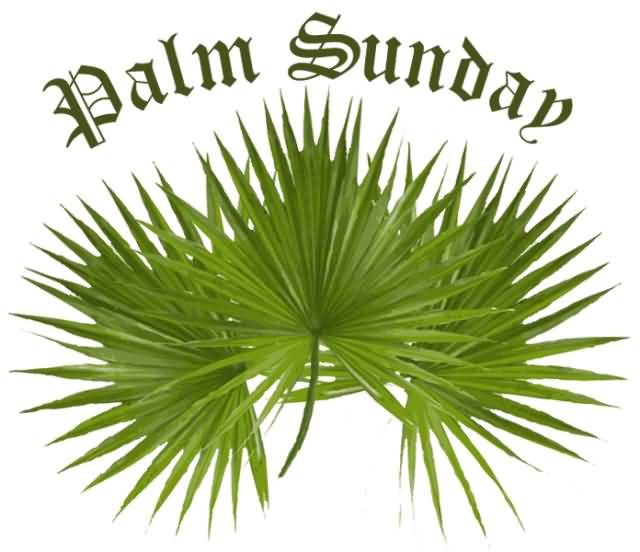 Palm Sunday Palm Leaves Clipart