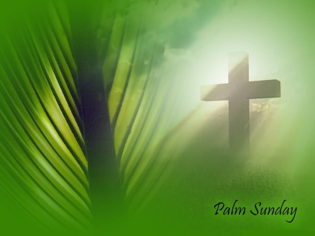 Palm Sunday Wishes Picture