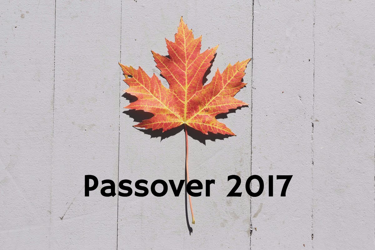 Passover 2017 Maple Leaf Picture