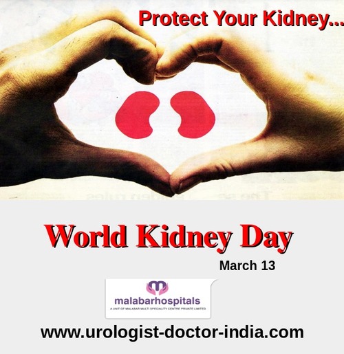 Protect Your Kidney World Kidney Day March 13
