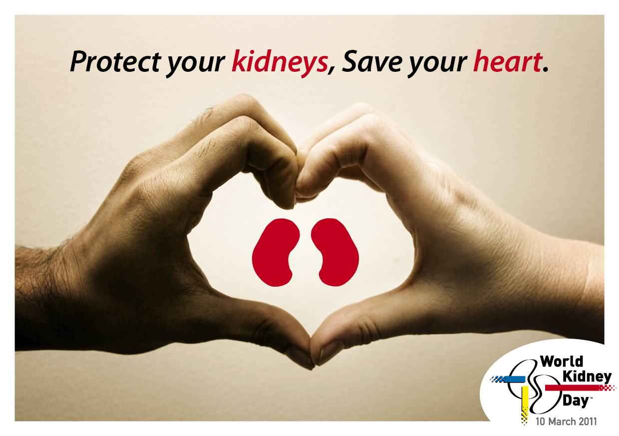 Protect Your Kidneys, Save Your Heart World Kidney Day