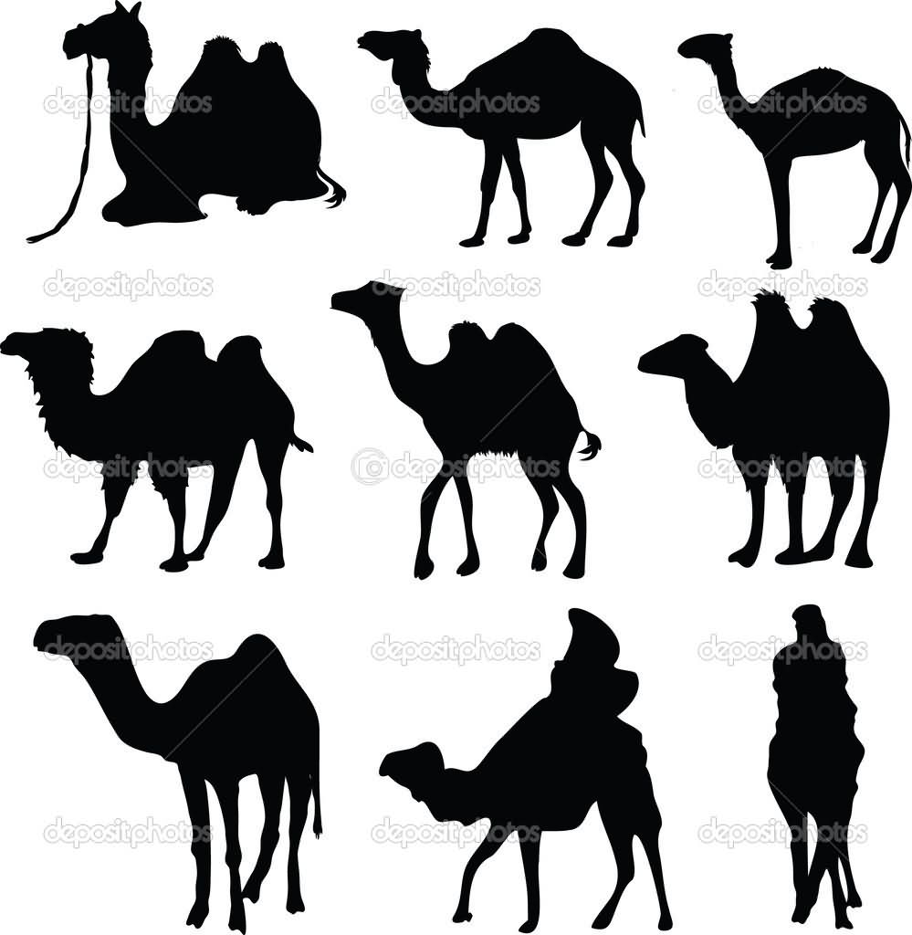 Silhouette Camel Tattoo Flash