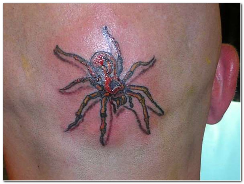 Traditional Arachnids Tattoo On Man Head