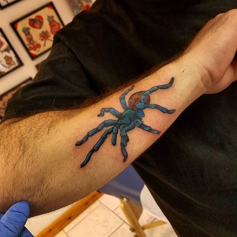 Traditional Arachnids Tattoo On Right Arm