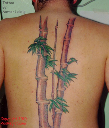 Traditional Bamboo Tree Tattoo On Man Full Back