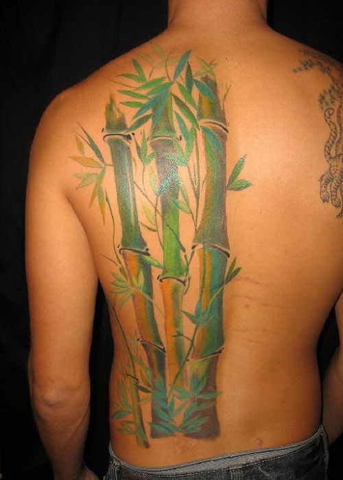 Traditional Bamboo Trees Tattoo On Man Full Back