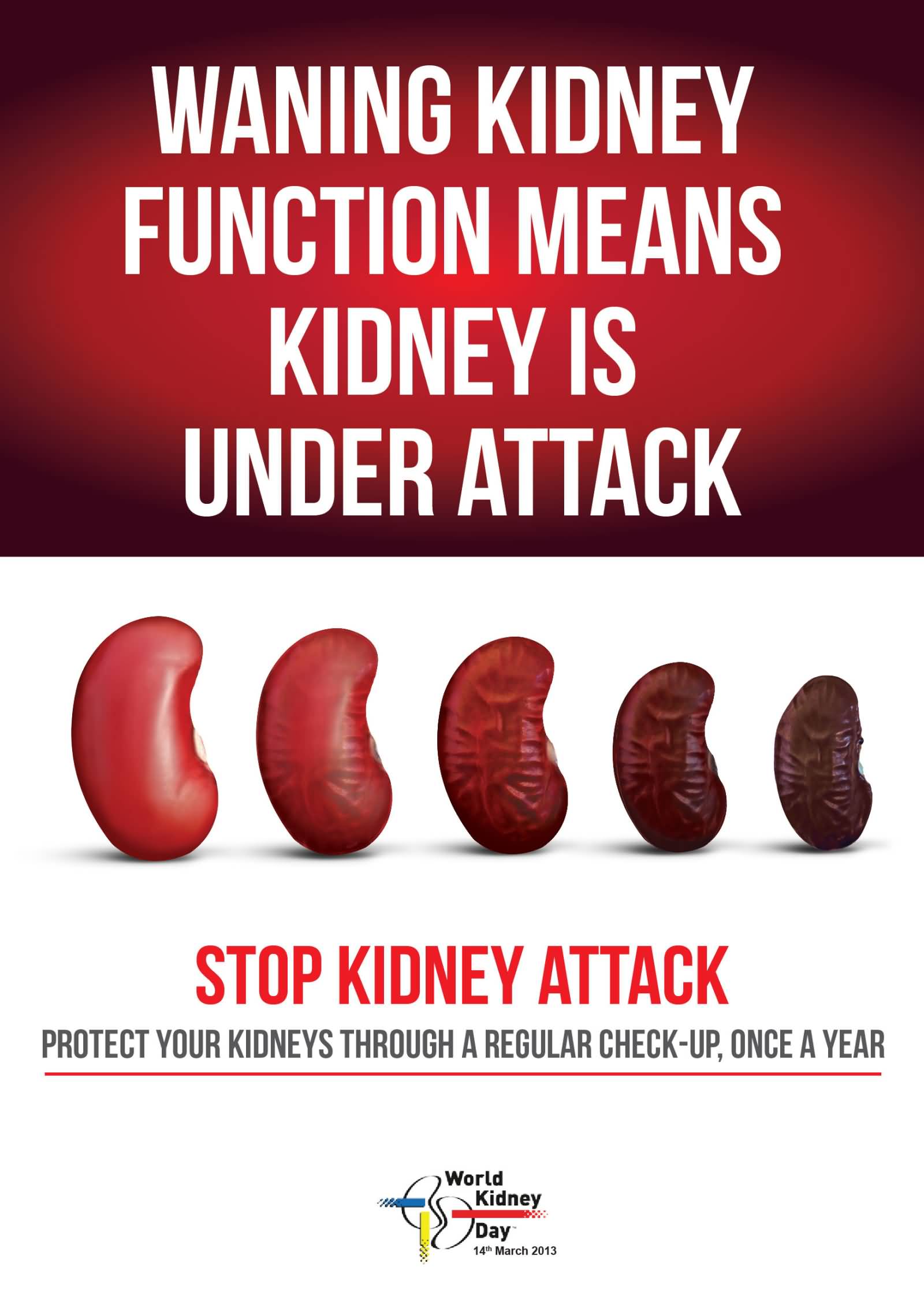 Waning Kidney Function Means Kidney Is Under Attack World Kidney Day
