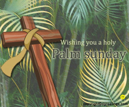 Wishing You A Holy Palm Sunday