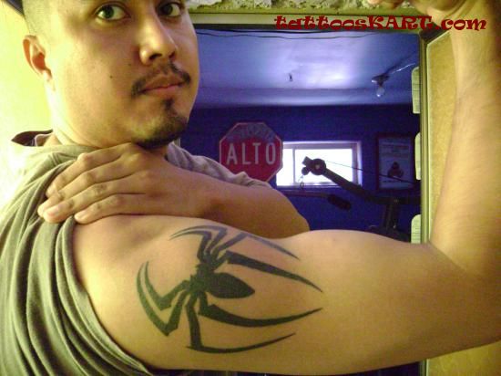 Womnderful Black Arachnids Tattoo On Man Right Shoulder