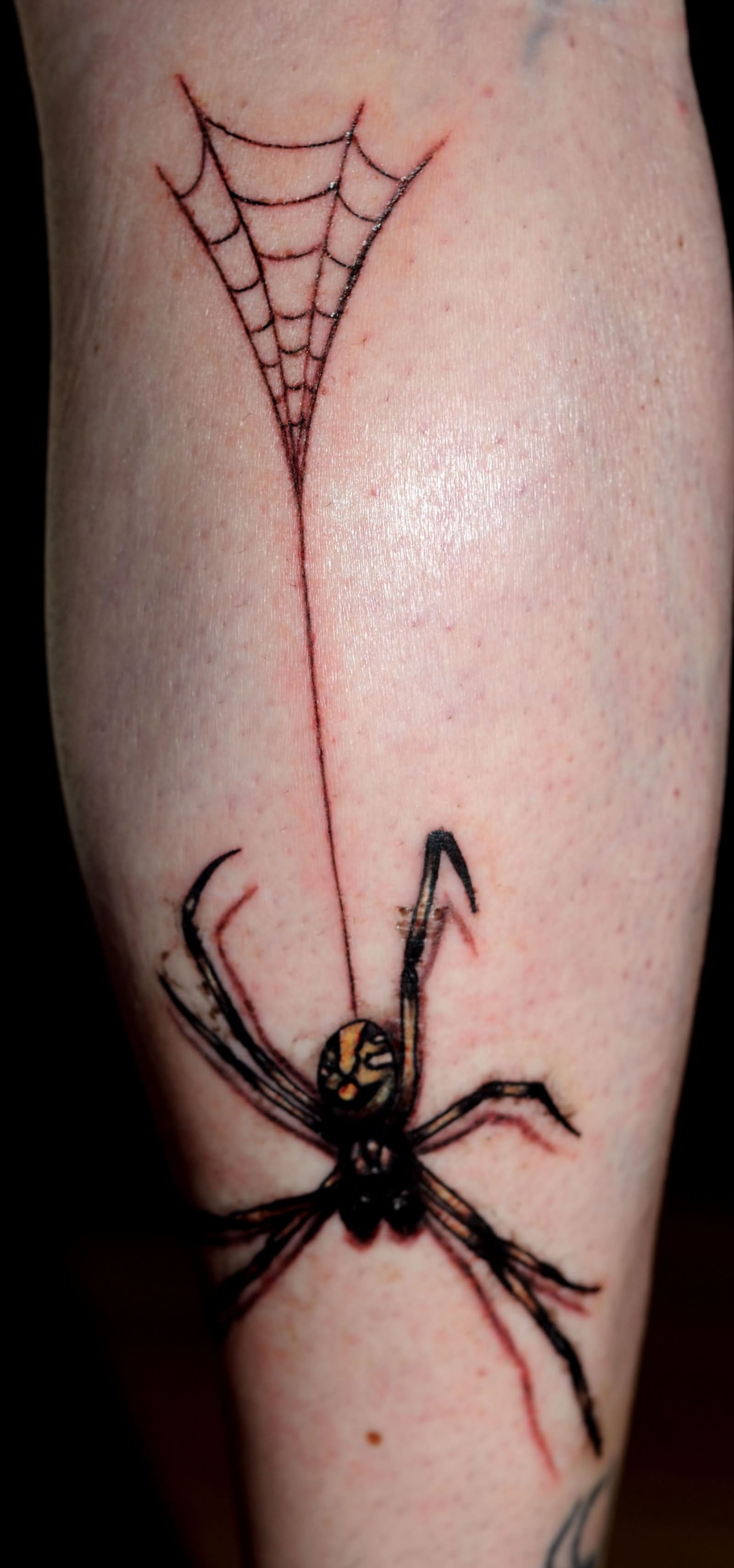 Wonderful Black Ink Arachnids With Web Tattoo On Leg Calf
