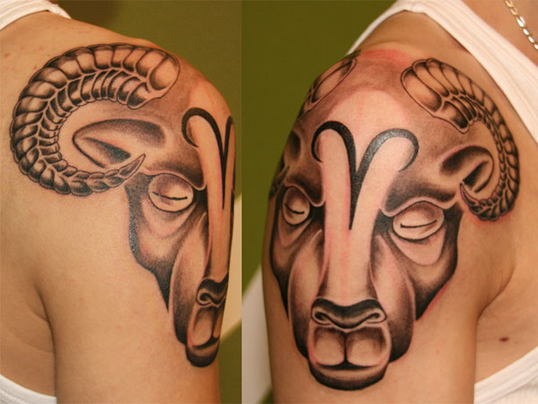 Wonderful Black Ink Aries Head Tattoo On Right Shoulder