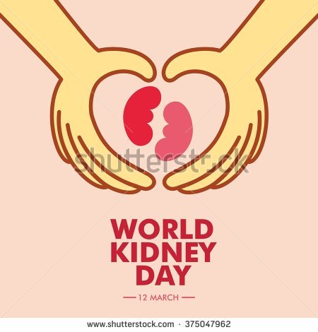 World Kidney Day 12 March Illustration