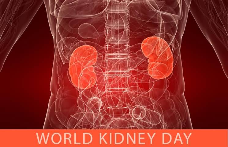 World Kidney Day 2017 Image