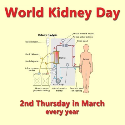 World Kidney Day 2nd Thursday In March Every Year