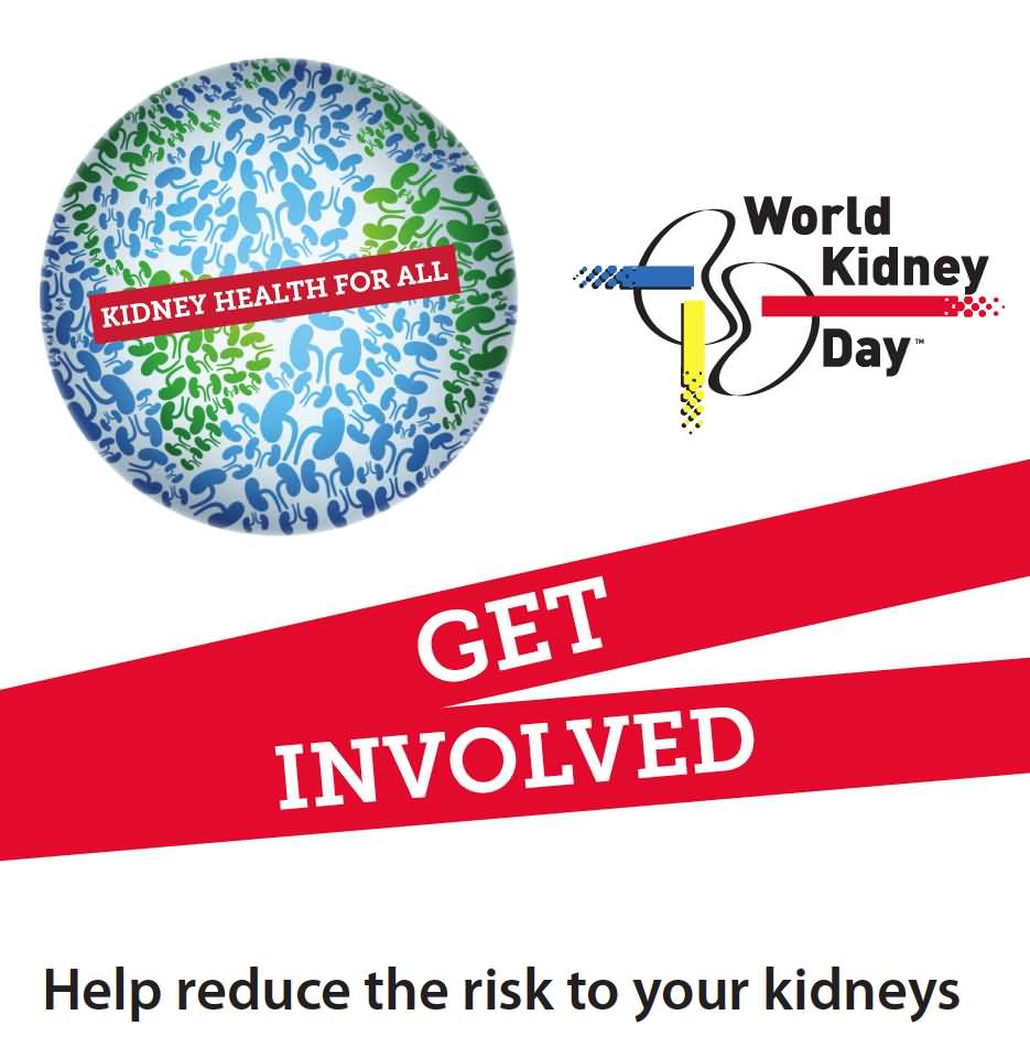 World Kidney Day Get Involved Help Reduce The Risk To Your Kidneys