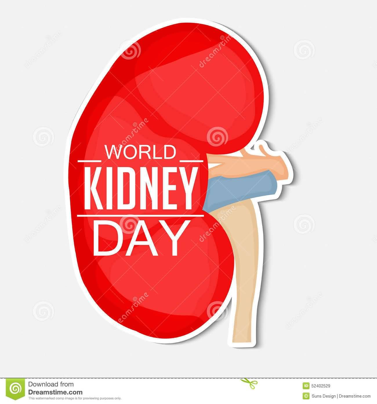 World Kidney Day Kidney Illustration