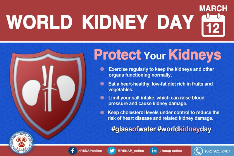 World Kidney Day March 12 Protect Your Kidneys