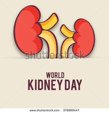 World Kidney Day Two Kidneys