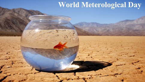 World Meteorological Day Fish In Bowl