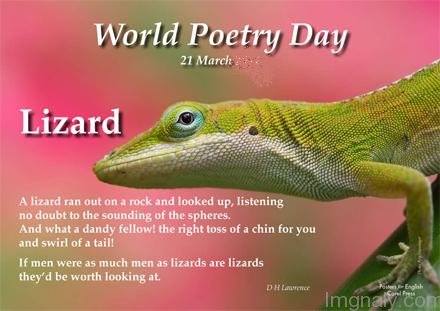 World Poetry Day 21 March Lizard