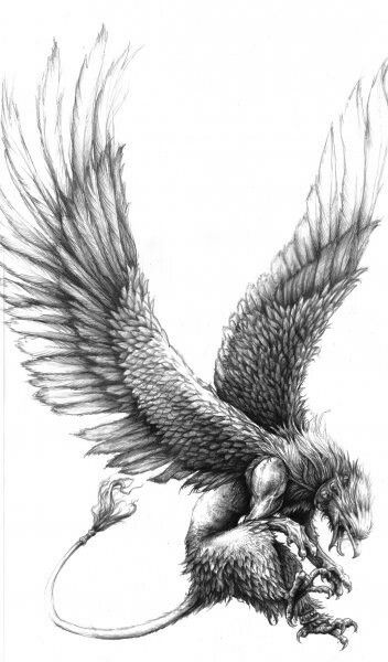 Amazing Black Ink Flying Griffin Tattoo Design