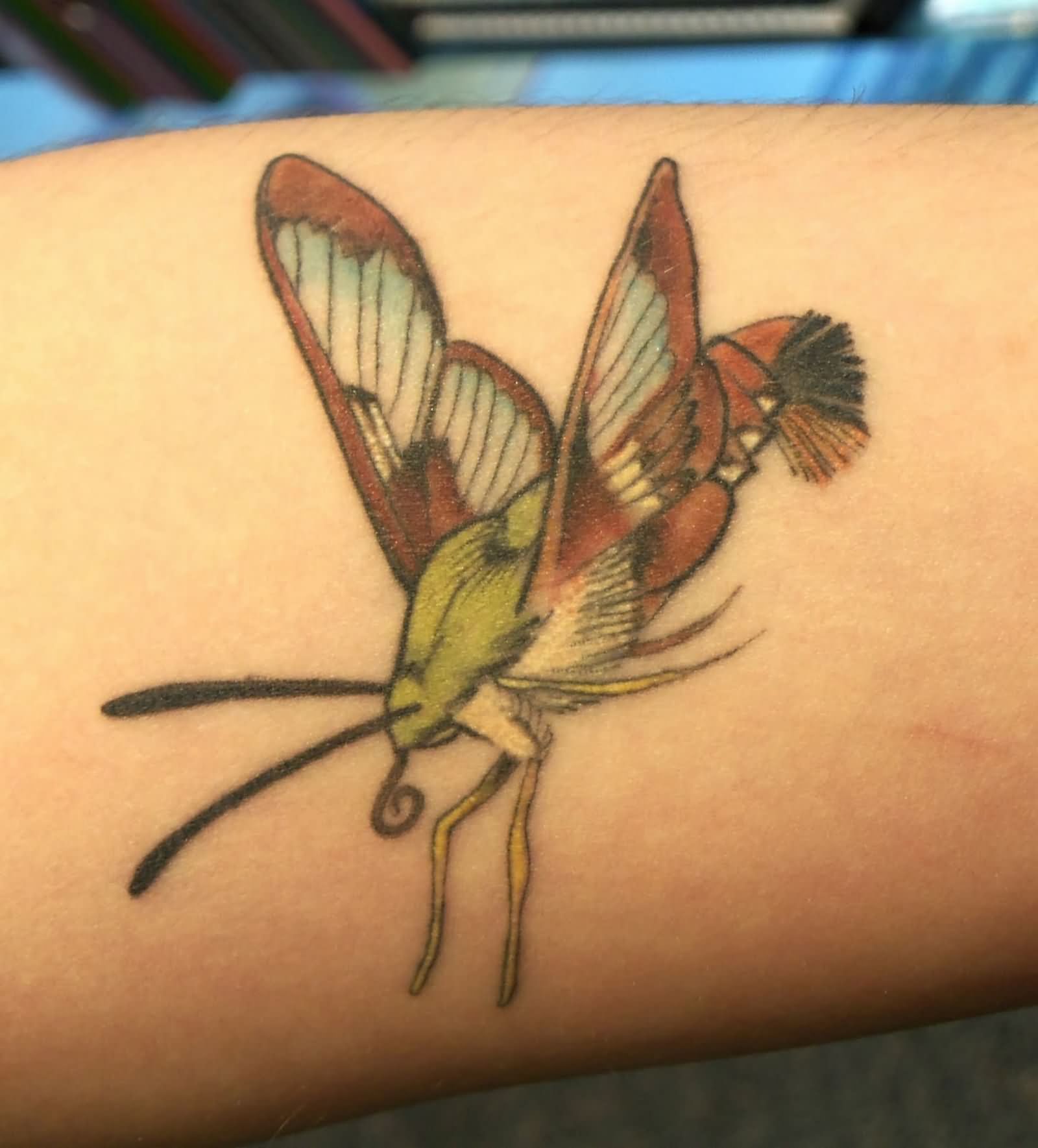 43+ Best Insect Tattoos Design And Ideas