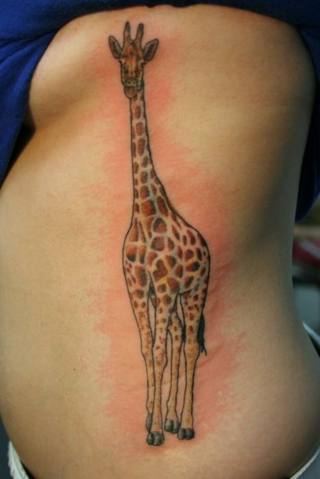 Awesome Giraffe Tattoo On Left Side Rib