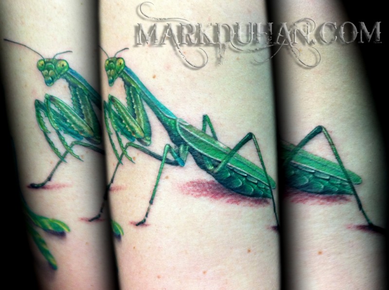 Awesome Green Ink Grasshopper Tattoo Design For Sleeve