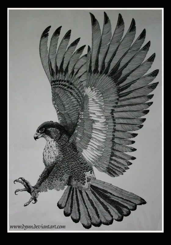Black And Grey Flying Hawk Tattoo Design