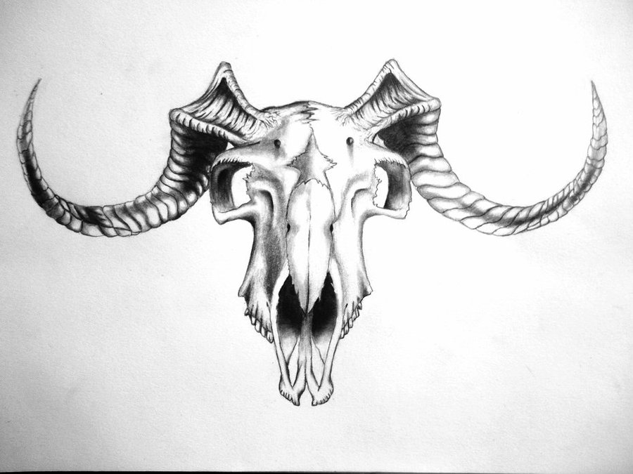 Black And Grey Goat Skull Tattoo Design