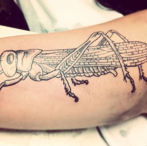 50+ Best Grasshopper Tattoos Design And Ideas