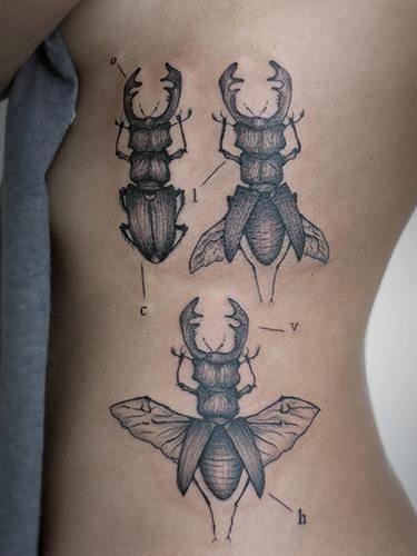 Black And Grey Insects Tattoo On Left Side Rib