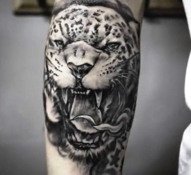Black And Grey Jaguar Head Tattoo Design For Leg Calf