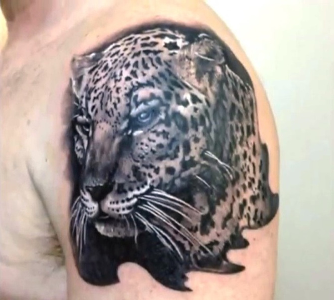 Black And Grey Jaguar Head Tattoo On Man Left Shoulder