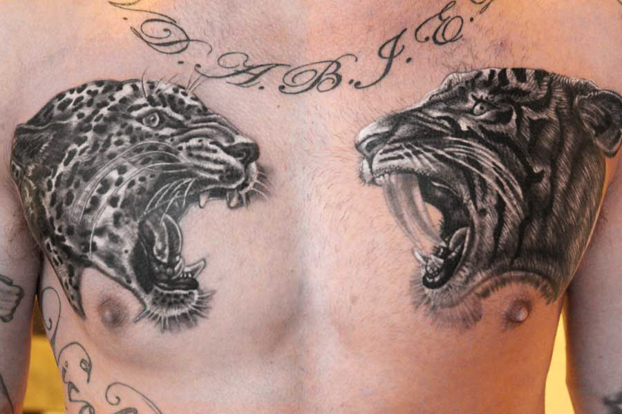 Black And Grey Two Jaguar Head Tattoo On Man Chest