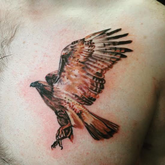 Black Ink Flying Hawk Tattoo On Man Left Front Shoulder