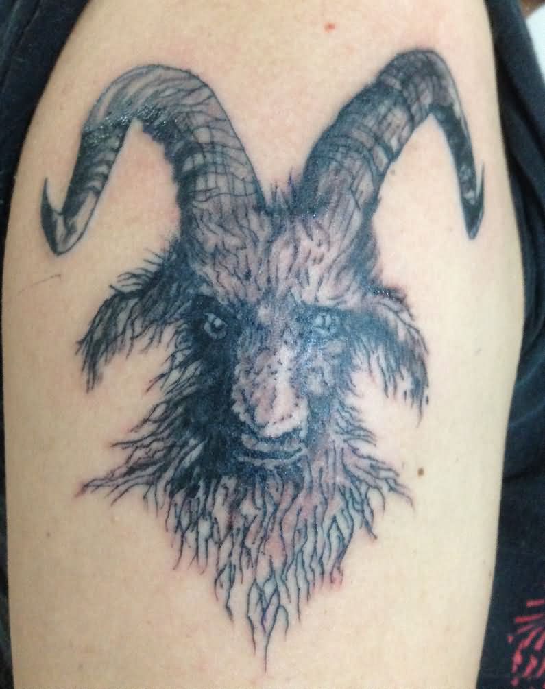 Black Ink Goat Head Tattoo Design For Shoulder