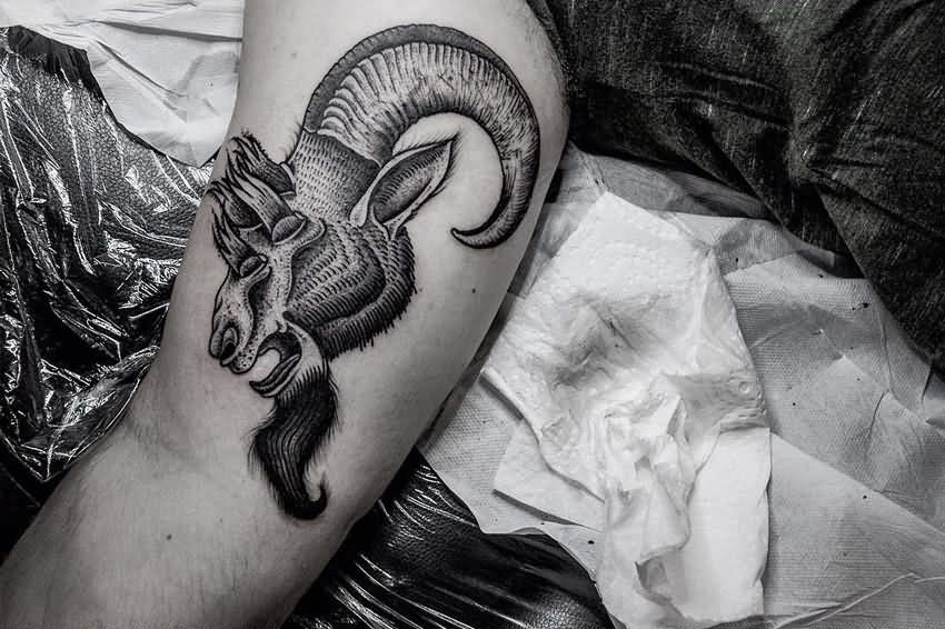 Black Ink Goat Head Tattoo On Right Bicep
