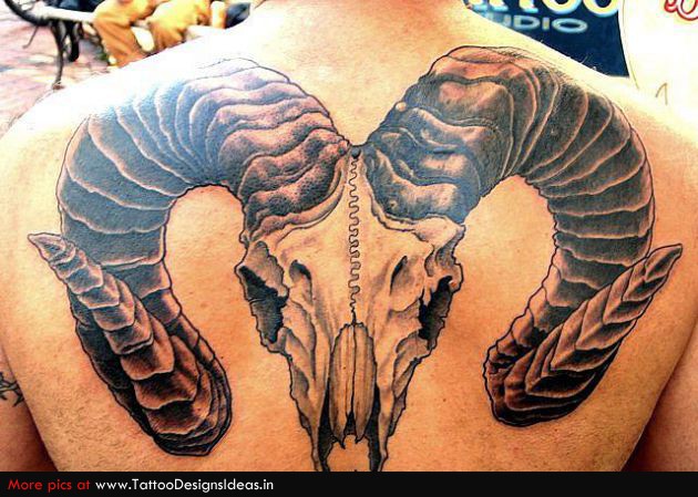 Black Ink Goat Skull Tattoo On Man Upper Back