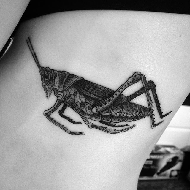 Black Ink Grasshopper Tattoo On Left Side Rib