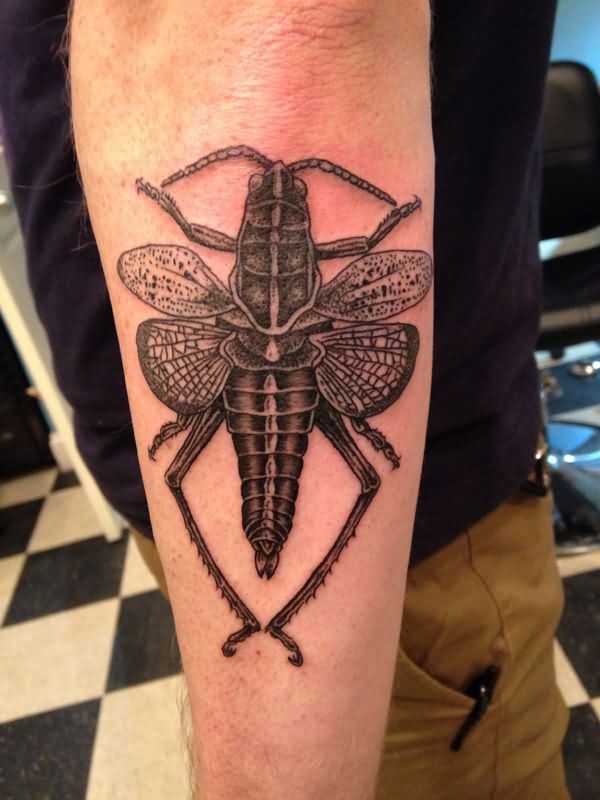 Black Ink Grasshopper Tattoo On Right Arm
